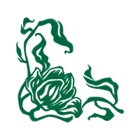 Illustration Flowers