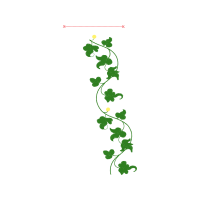 Illustration Flowers