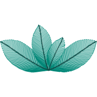 Illustration Flowers