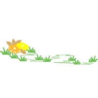 Illustration Flowers