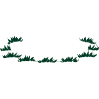 Illustration Flowers