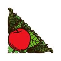 Illustration Flowers