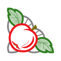 Illustration Flowers