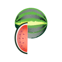 Illustration Flowers