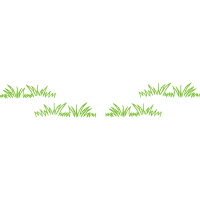 Meter Flowers Meter Flowers