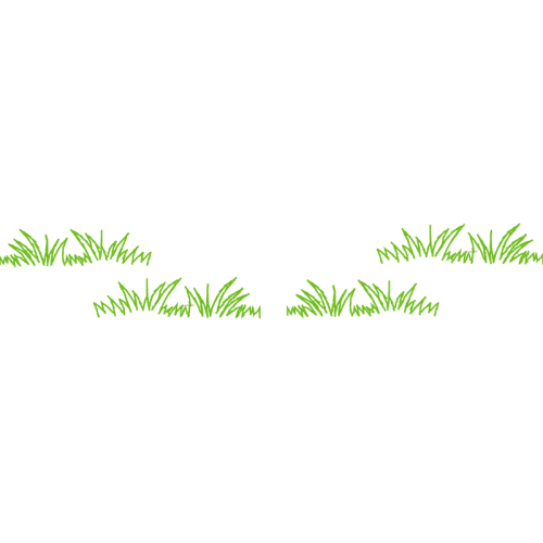 Meter Flowers Meter Flowers