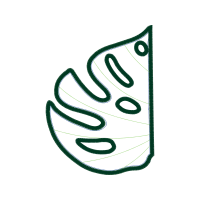 Meter Flowers Meter Flowers