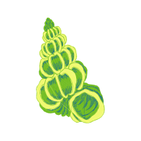 Meter Flowers Meter Flowers