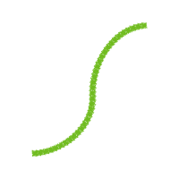 Meter Flowers Meter Flowers