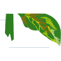 Meter Flowers Meter Flowers