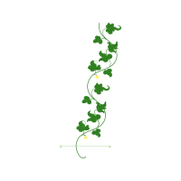 Meter Flowers Meter Flowers