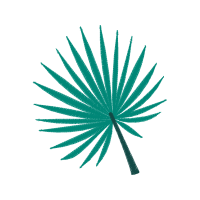 Meter Flowers Meter Flowers