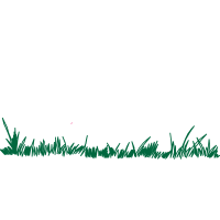 Meter Flowers Meter Flowers