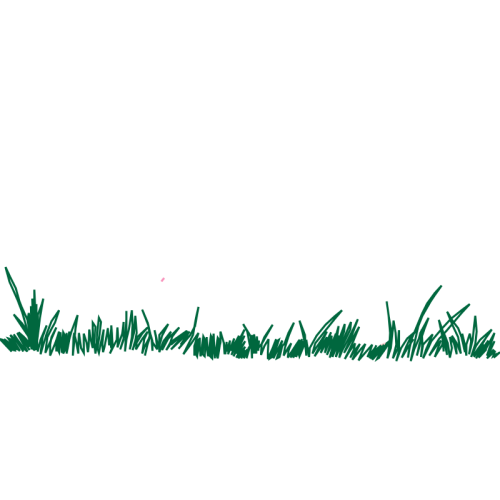 Meter Flowers Meter Flowers