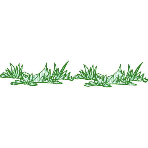 Night Flowers Night Flowers