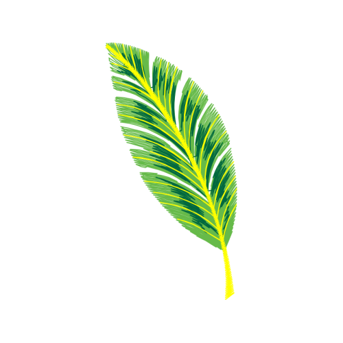 Palms Flowers Palms Flowers