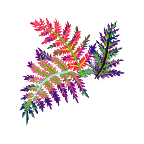 Tree Flowers Tree Flowers