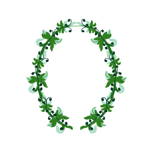 Image Flowers Image Flowers