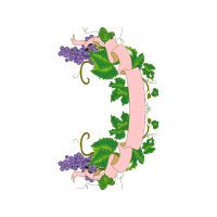 Illustration Flowers