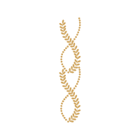 Illustration Flowers