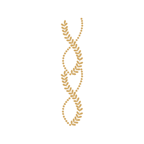 Illustration Flowers Illustration Flowers