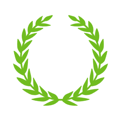 Laurel Wreath Flowers Laurel Wreath Flowers