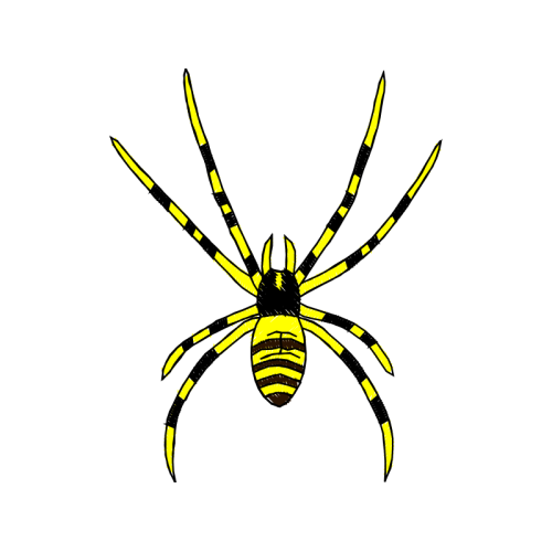 Barn Spider Hobbies Barn Spider Hobbies