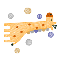 Dog Hobbies Dog Hobbies