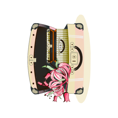 Illustration Hobbies Illustration Hobbies