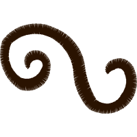 Invertebrate Hobbies