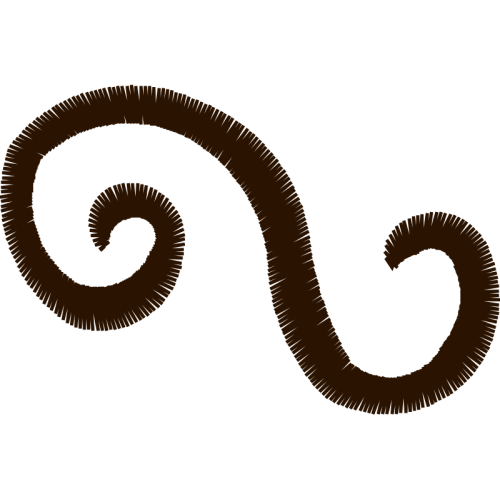 Invertebrate Hobbies Invertebrate Hobbies