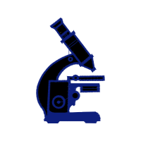 Microscope Hobbies Microscope Hobbies