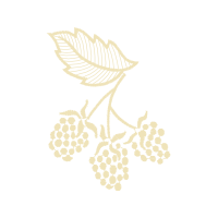 Music Sequencer Hobbies Music Sequencer Hobbies