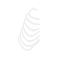 Spiral M Empowerment Music Hobbies