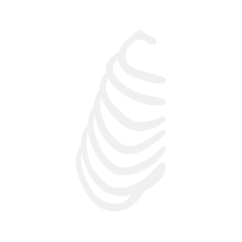 Spiral M Empowerment Music Hobbies Spiral M Empowerment Music Hobbies