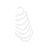 Spiral M Empowerment Music Hobbies