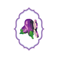 M 02Csf Hobbies M 02Csf Hobbies