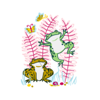 Amphibians Hobbies Amphibians Hobbies