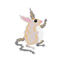 Antelope Jackrabbit Hobbies Antelope Jackrabbit Hobbies