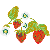 Art Hobbies Art Hobbies