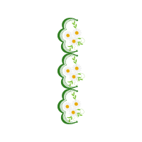 Arum Lily Hobbies Arum Lily Hobbies