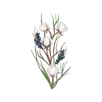 Autumn Crocus Hobbies