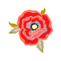 Barberton Daisy Hobbies Barberton Daisy Hobbies