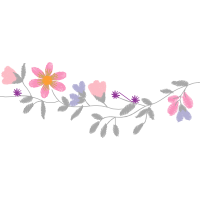 Caesalpinia Hobbies Caesalpinia Hobbies