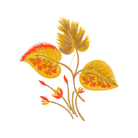 Caesalpinia Hobbies