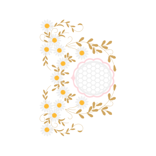 Chrysanthemum Hobbies Chrysanthemum Hobbies