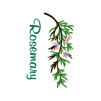 Creative Arts Hobbies