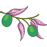 Creative Arts Hobbies