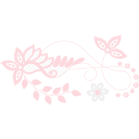 Cross Hobbies Cross Hobbies