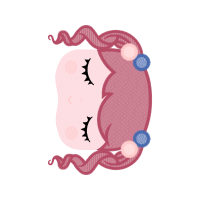 Cross Hobbies Cross Hobbies